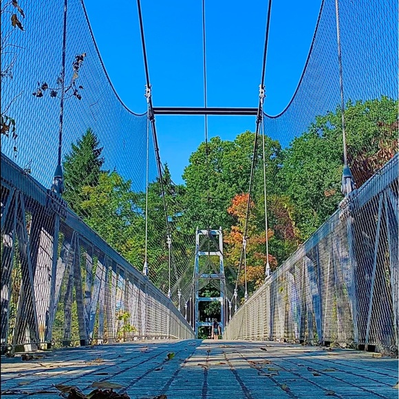 sj436